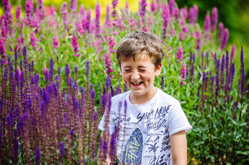 Harry enjoys being surrounded by plants Harry enjoys being surrounded by plants