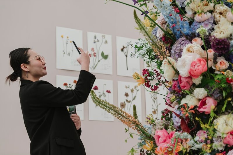 Visitor photographs floristry display Visitor photographs floristry display