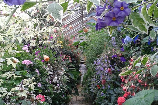 The display house at Parham House and Gardens
