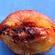 Plum maggots