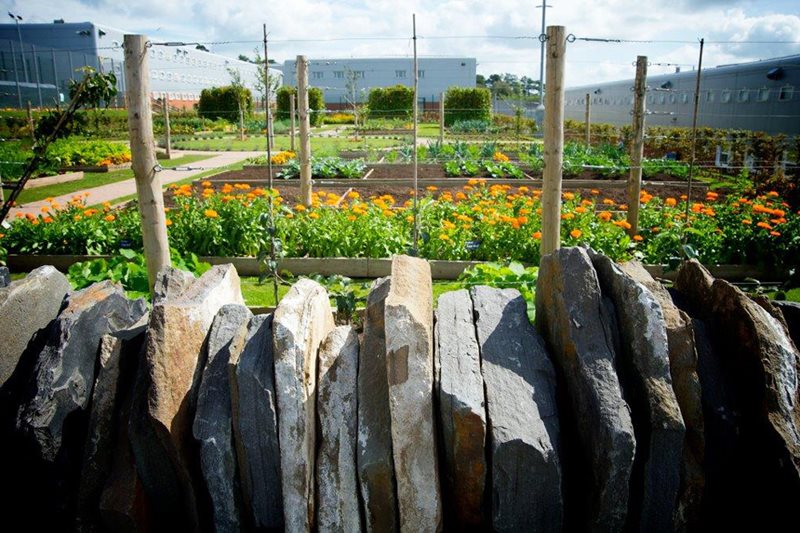 View of gardens at HMP and YOI Parc across a stone wall View of gardens at HMP and YOI Parc across a stone wall