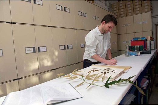 Working with the RHS Herbarium