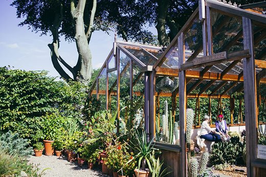 Visitors in the arid house at Winterbourne House and Garden