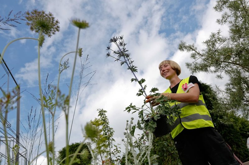 Preparing a garden at an RHS Show