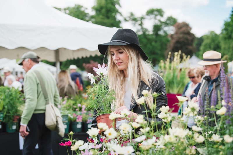 Shopping in the Chatsworth Plant Village Shopping in the Chatsworth Plant Village