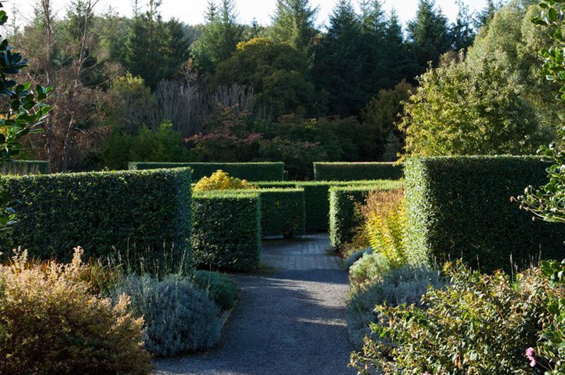 The Spiral Garden will be replaced by the Cool Garden The Spiral Garden will be replaced by the Cool Garden