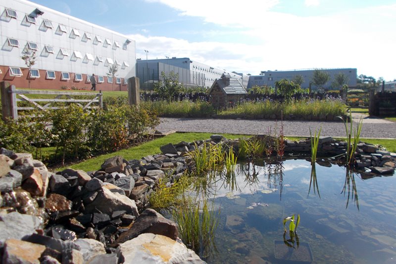 Solar Pond Solar Pond