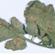 Tomato leaf mould