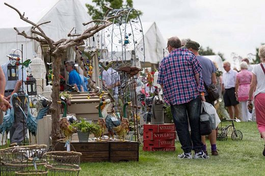 Visitors browsing the Flower Show