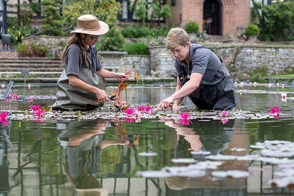 work based training at rhs gardens