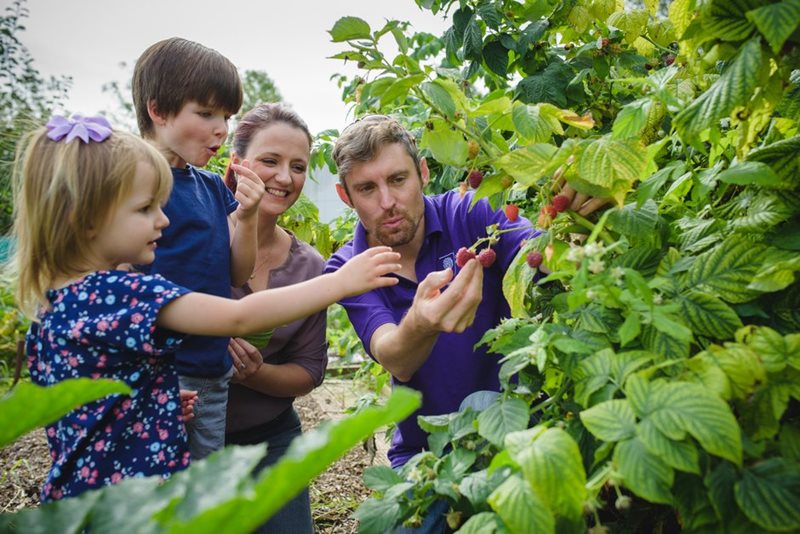 Children learing about plants
